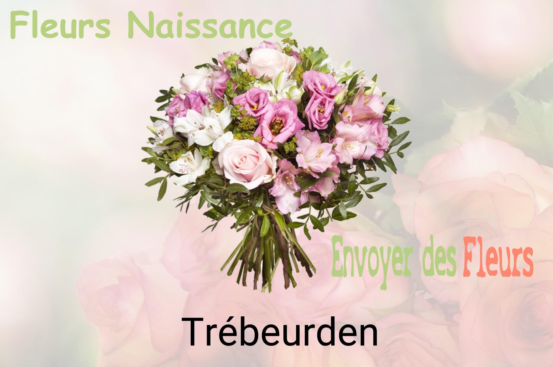 Bouquet de fleurs de naissance livré à Trébeurden